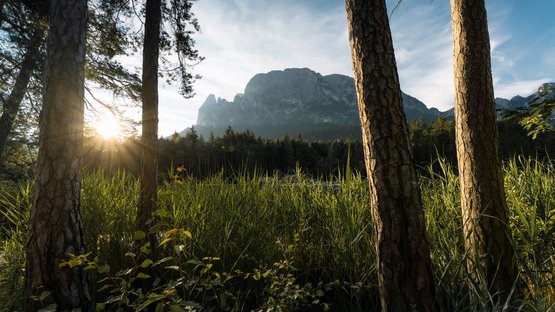 Die Hotels in Völs am Schlern erleben Sonnenuntergang über Wald, Wiese und Bergen im Hintergrund
