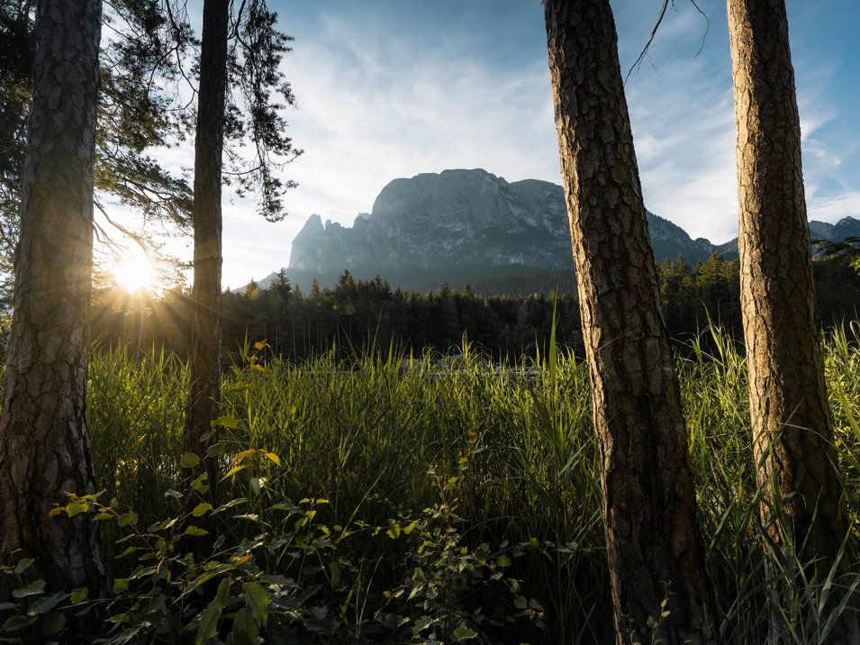 Il vostro hotel a Fiè allo Sciliar Tramonto sopra foresta, prateria e montagne sullo sfondo