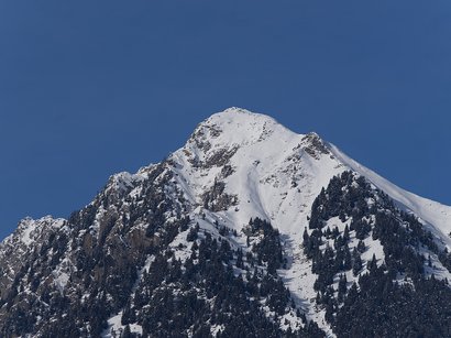 Mit Ausblick auf Meran: die Mutspitze Schneebedeckter Berg mit Nadelbäumen vor klarem blauem Himmel
