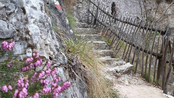 Il meraviglioso Castello di Salorno Sentiero escursionistico con scalini in pietra e recinzione di legno in montagna