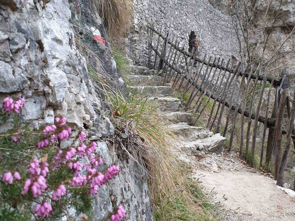 Eindrucksvolle Haderburg bei Salurn Wanderweg mit Steintreppe und Holzzaun in felsiger Berglandschaft