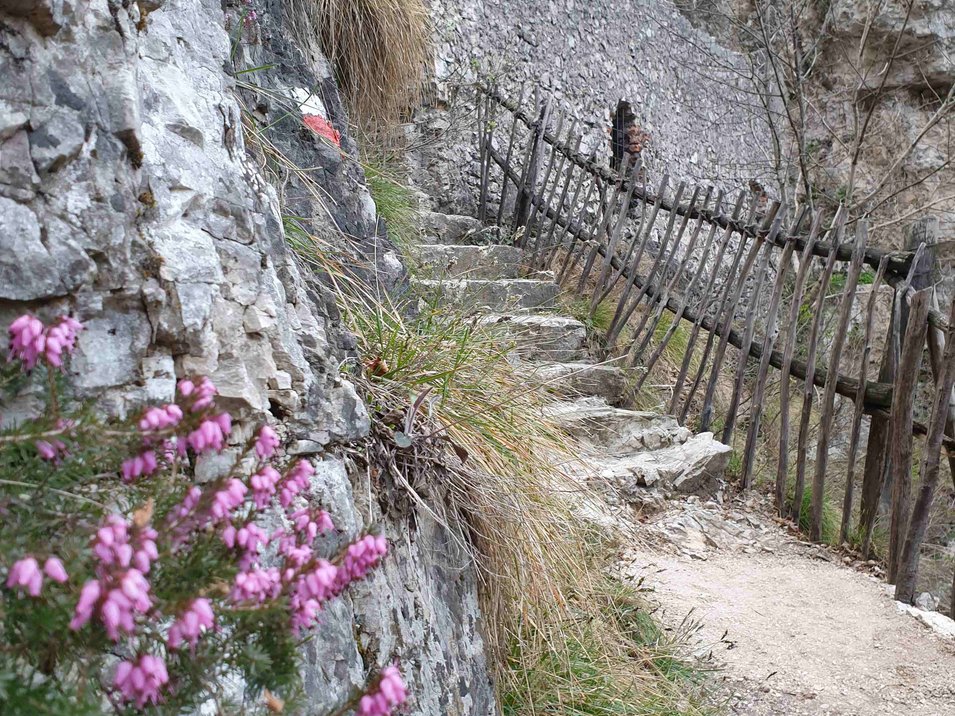 Il meraviglioso Castello di Salorno Il meraviglioso Castello di Salorno