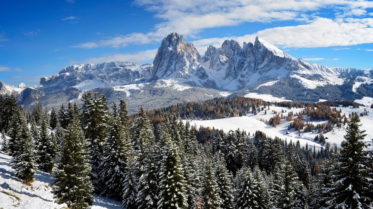 Discese in slittino ai piedi del Sasso Piatto Discese in slittino ai piedi del Sasso Piatto