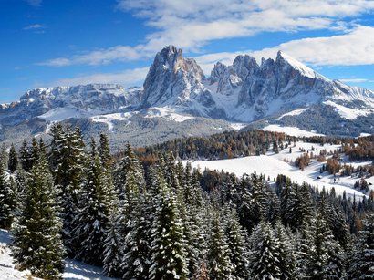 Rodelbahn Absam Schneebedeckte Alpenberge mit Tannen und blauem Himmel