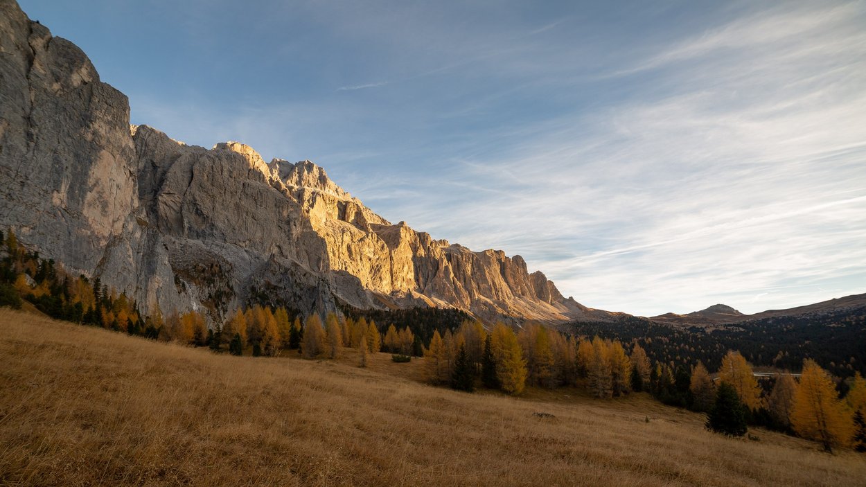 Das Grödner Joch Felsige Bergkette mit Wald und Herbstwiese unter blauem Himmel