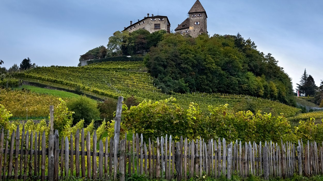 L’imponente Castel Wehrburg in Alto Adige Castello su collina verde con vigneti e recinzione di legno in primo piano