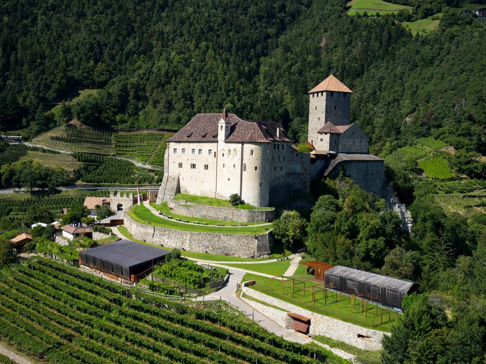 Rapaci a Merano e dintorni Rapaci a Merano e dintorni