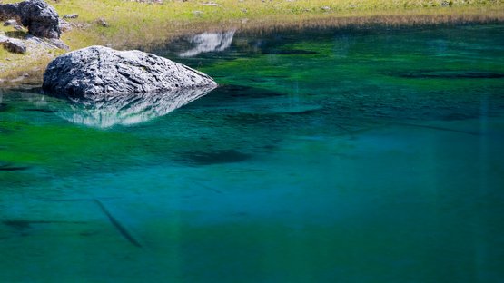 L’incantevole lago di Carezza in Alto Adige Lago limpido con acqua verde-blu e rocce sulla riva