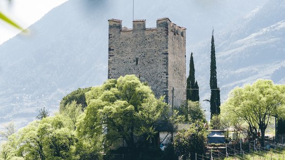 Hotel a Merano in Alto Adige Antica torre di pietra su collina con viti e alberi, montagne sullo sfondo