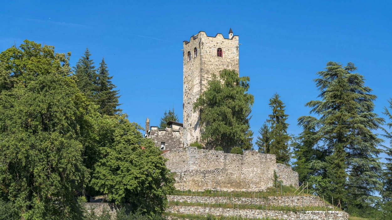 Zwingenburg in Prissian Steinerne Burg mit Turm auf bewaldetem Hügel unter blauem Himmel