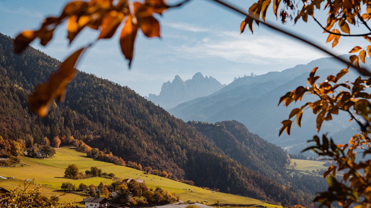L'origine del Törggelen in Alto Adige Paesaggio montano autunnale con prati verdi e case nella valle