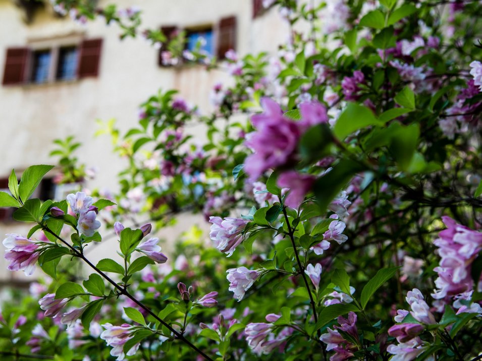 Das prunkvolle Schloss Gandegg bei Eppan Das prunkvolle Schloss Gandegg bei Eppan
