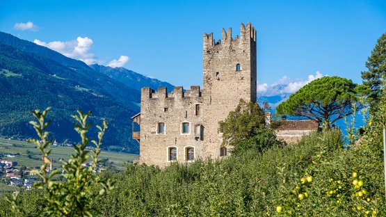 Ein Hotel in Naturns verspricht Urlaubsfreude pur Burgruine in einer grünen Obstplantage vor Bergkulisse unter blauem Himmel