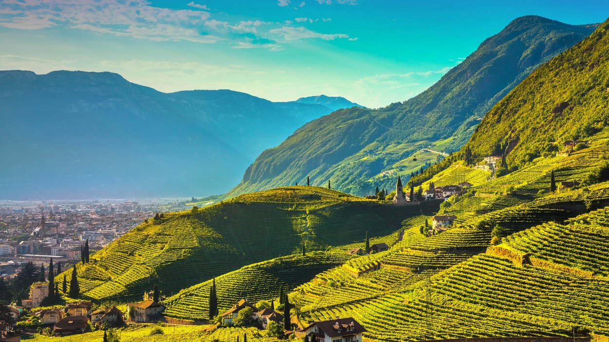 Giro in moto nel sud dell’Alto Adige: un sogno Paesaggio con vigneti terrazzati e montagne sullo sfondo alla luce del sole
