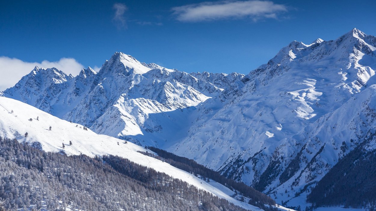 Divertimento sulla neve al Passo di Resia Montagne innevate con alberi sul pendio e cielo azzurro