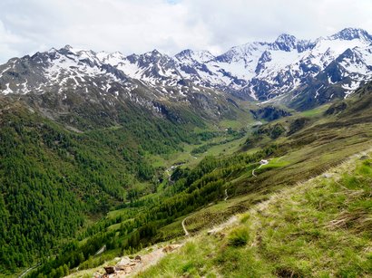 Hotels im Martelltal: schöne Tage verbringen Tal mit grünen Bäumen und schneebedeckten Bergen im Hintergrund