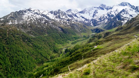Passo del Rombo: tra il Passo di Resia e il Brennero Valle con alberi verdi e montagne innevate sullo sfondo