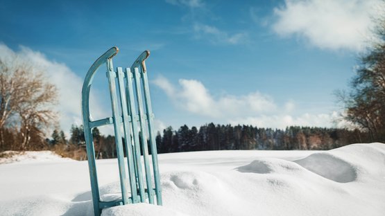 Spaß pur am Klausberg Blauer Schlitten im Schnee vor bewaldetem Hintergrund und blauem Himmel