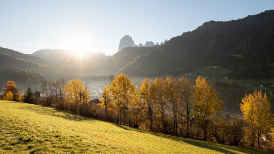 Passo Sella: il passo alpino più famoso delle Dolomiti Paesaggio autunnale con alberi e montagne al sorgere del sole