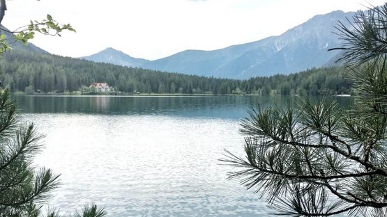 Der Antholzer See – ein schöner Alpensee See mit Bergen im Hintergrund und Bäumen im Vordergrund