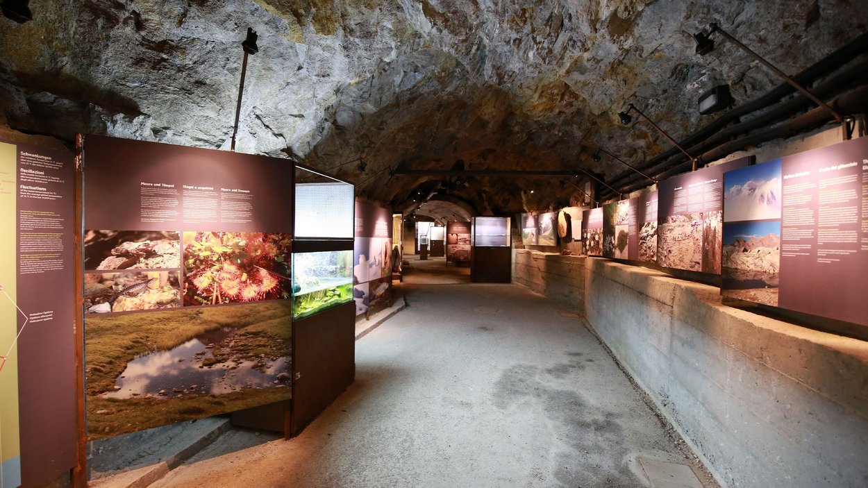 Il MuseoAltaPassiria di Moso in Passiria Corridoio espositivo in un museo sotterraneo con pannelli informativi e fotografie