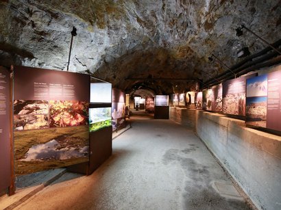 Tenuta Kränzelhof – un’esperienza che risveglia i sensi Tenuta Kränzelhof – un’esperienza che risveglia i sensi