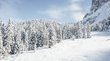 Drei Zinnen-Schneeschuhwanderung Schneebedeckte Tannen vor einem Felsen unter blauem Himmel
