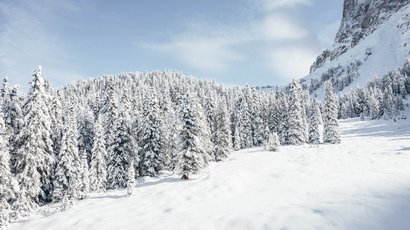 Piz Sesvenna (3204 m.ü.M.) Schneebedeckte Tannen vor einem Felsen unter blauem Himmel