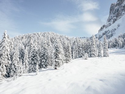 Pista da slittino malga Allriss (1.534 m) – St. Anton in Pflersch Alberi innevati davanti a una roccia con cielo azzurro
