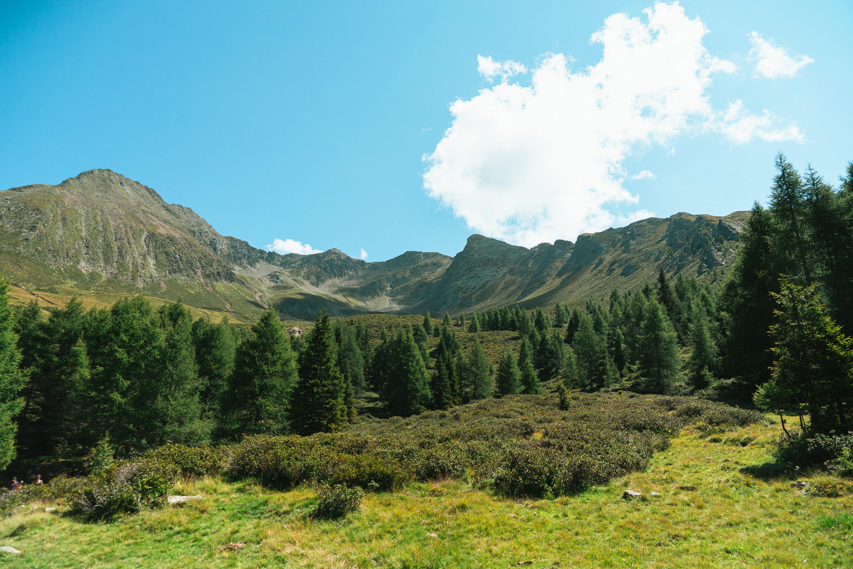 Der Hirzer höchster Gipfel der Sarntaler Alpen
